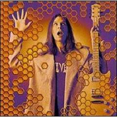 Paul Gilbert : Beehive Live